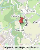 Via Vencati-Grande, 13,36073Cornedo Vicentino