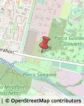 Strada Castello di Mirafiori, 272,10135Torino