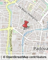 Via dei Savonarola, 151,35137Padova