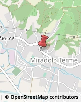 Via Roma, 15,27010Miradolo Terme