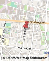 Via Sospello, 146,10142Torino