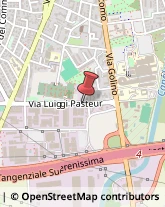 Via Luigi Pasteur, 12/A,37135Verona