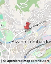 Via Provinciale, 172,24022Alzano Lombardo