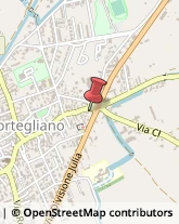 Piazzale Udine, 7,33050Mortegliano