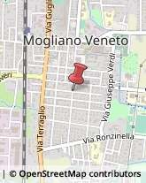 Via 24 Maggio, 57,31021Mogliano Veneto