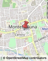 Piazza Petrarca, 17,31040Montebelluna