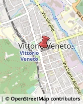 Via Cesare Battisti, 8,31029Vittorio Veneto