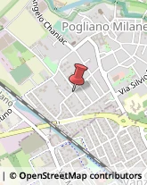 Via San Francesco, 34,20010Pogliano Milanese