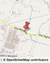 Via Venezia, 86,35010Campo San Martino