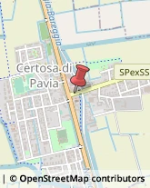 Viale Certosa, 12,27012Certosa di Pavia