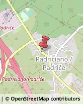 Località Padriciano, 99,34149Trieste