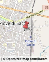 Via Cò Panico, 27,35028Piove di Sacco