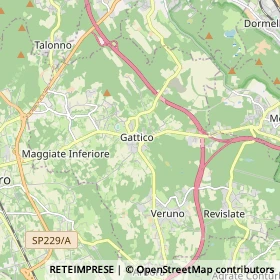 Mappa Gattico