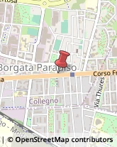 Corso Francia, 50,10093Collegno
