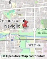 Via Camillo Benso Conte di Cavour, 12,20063Cernusco sul Naviglio