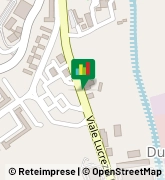 Viale Lucrezia della Valle, 84,88100Catanzaro