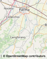 Articoli da Regalo - Dettaglio Canossa,42026Reggio nell'Emilia