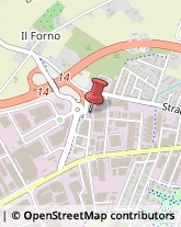 Str. Barchetta, 305,41123Modena