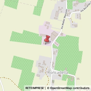 Mappa Via Walter Manzotti, 13, 42122 Scandiano, Reggio nell'Emilia (Emilia Romagna)