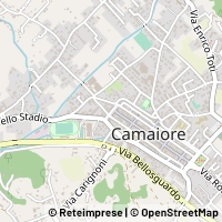 Carte Camaiore