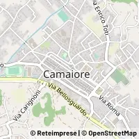 Kart Camaiore