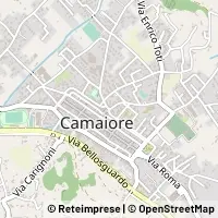 Mapa Camaiore