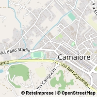 Kart Camaiore