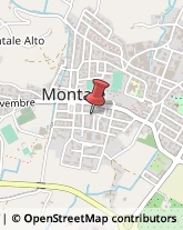 Via Arrigo Boito, 26,51037Montale