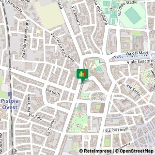 Viale Petrocchi Policarpo, 158,51100Pistoia