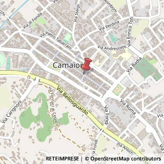 Mappa Via Vittorio Emanuele, 237, 55041 Camaiore, Lucca (Toscana)