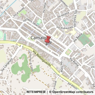 Mappa Piazza Armando Diaz, 7, 55041 Camaiore, Lucca (Toscana)