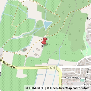 Mappa Via delle Camelie, 31, 51100 Pistoia, Pistoia (Toscana)