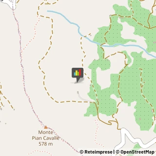 Aziende Agricole Pontedassio,18027Imperia