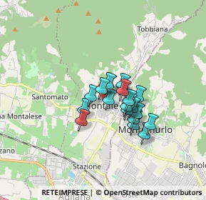 Mappa Via Arturo Toscanini, 51037 Montale PT, Italia (1.0915)