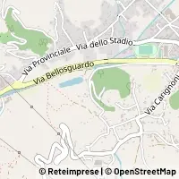 Map Camaiore