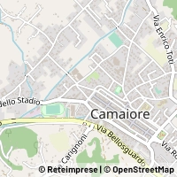 지도 Camaiore