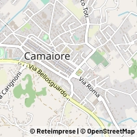 Карта Camaiore