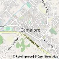 Kaart Camaiore