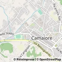 Hartă Camaiore