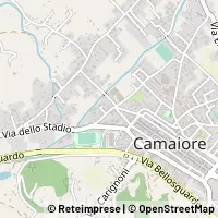 Karte Camaiore