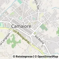 Kaart Camaiore