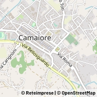Kart Camaiore