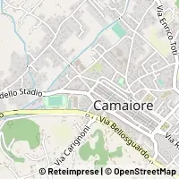 Mapa Camaiore