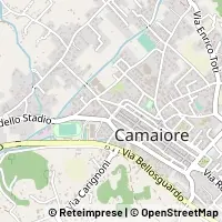 Kaart Camaiore