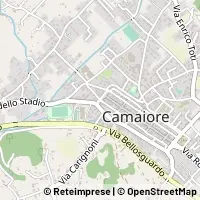 Map Camaiore