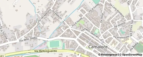 Mappa Camaiore
