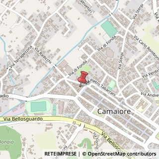 Mappa Piazza XXIX Maggio, 7, 55041 Camaiore, Lucca (Toscana)