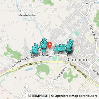 Mappa Via San Ceraglioli, 55041 Camaiore LU, Italia (0.321)