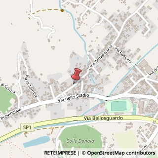 Mappa Via San Francesco, 47, 55041 Camaiore, Lucca (Toscana)