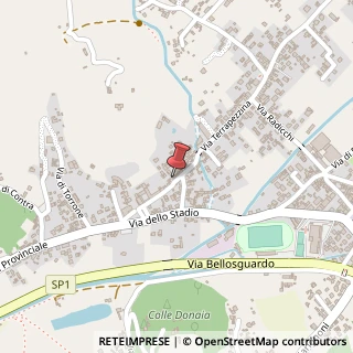 Mappa Via San Francesco, 8, 55041 Camaiore, Lucca (Toscana)